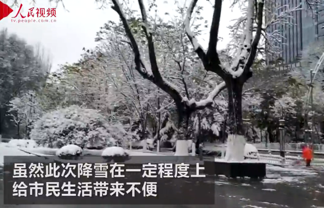 青海西宁迎初雪 市民集体找童年