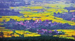 江西吉安市：镇村旧貌换新容