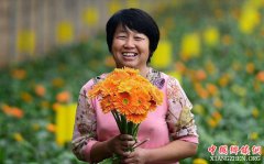 <b>河北沧州：摘掉“穷帽子” 携手致富路</b>