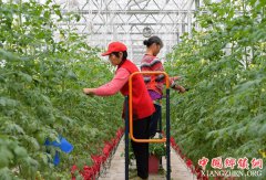 江西南昌：现代农业助力农民家门口就业