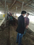 安徽毫州：龙扬镇“重拳”出击抓环保 守护碧水蓝天