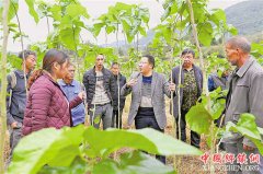 乡村讲堂助乡村振兴