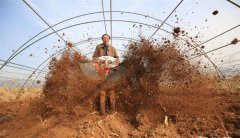 初冬时节农事忙