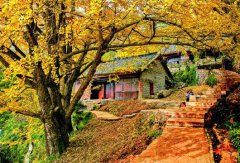 <b>妥乐论坛：盘州对外开放的“新视野”</b>