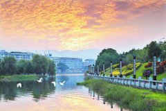 <b>福建南靖县：生态美引来白鹭栖</b>