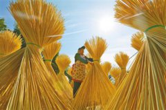 四川：贵州赤水竹编 非物质文化遗产助增收