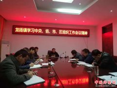 安徽：龙扬镇党委中心组专题学习全区组织工作会议精神