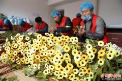 河北行唐：残疾人双创园助力脱贫致富