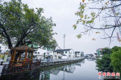 浙江温州：“清洁低碳”助力美丽乡村建设