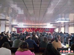 安徽：龙扬镇召开“强培训、遍走访、亮承诺、抓落实、树典型”活动推进会