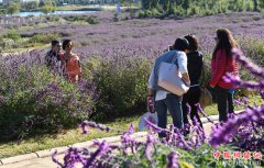 云南曲靖麒麟爱情小镇景色宜人