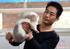 广西平乐：竹鼠养殖助脱贫