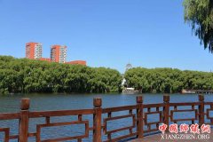 <b>乡村美起来：即墨推动美丽青岛建设从治水开始</b>