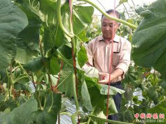 <b>安徽谯城：加大环境保护力度，注重绿色发展</b>