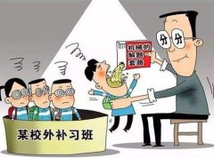 拔苗种不出好“庄稼”