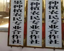 <b>8成合作社成空壳？ 乡村振兴莫让形式主义带歪</b>