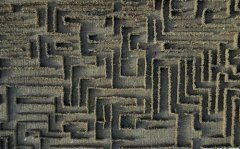 河北昌黎：挑战玉米秸秆迷宫