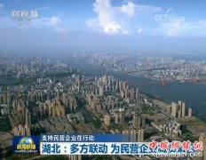 <b>湖北：多方联动 为民营企业减负解困</b>