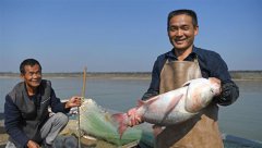 江西：南昌人欢鱼跃冬捕忙