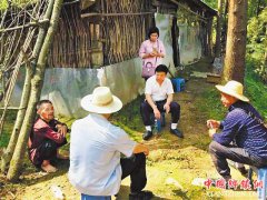 谭定国：用十九年青春让穷山沟变了样