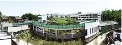 重庆有所绿色村小：每寸土地都起育人作用