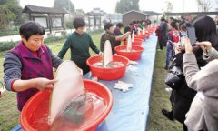 嘉兴桐乡：村里蚕娘赛技艺