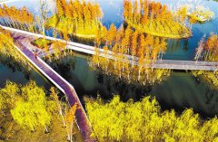 安徽省亳州市：冬日美如画