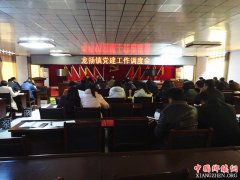 安徽省龙扬镇召开党建工作调度会