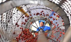 家门口就业助力脱贫增收