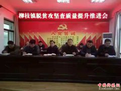 陕西：柳枝镇召开脱贫攻坚查质量提升推进会