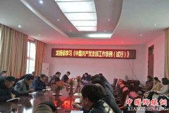 安徽省龙扬镇：“三好”推动《中国共产党支部工作条例（试行）》落实见效