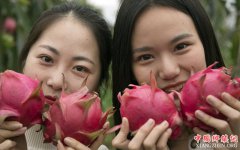 陕西华州：发展特色农业促增收