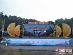 <b>第五届宜章脐橙文化节开幕</b>