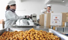 <b>浙江：“香榧经济”富农家</b>