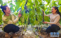 河北永清：“农业+旅游”拓宽致富路