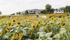 <b>闲置资源带来乡村“美丽经济”</b>