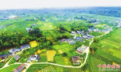 <b>丹棱：根植山水 奋力打造中国美丽乡村典范</b>