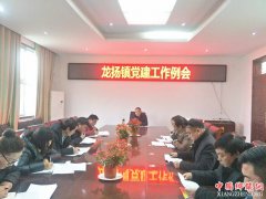 安徽省龙扬镇召开党建工作例会