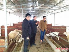 安徽：古城镇纪委督查污染治理工作