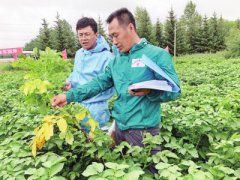 种子认证：擦亮“中国种子”招牌