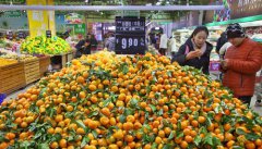 2018年全国居民消费价格同比上涨2.1%