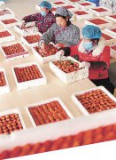 小康路上 有你有我