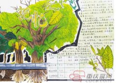 孩子眼中的大自然什么样? 4万余份笔记告诉你