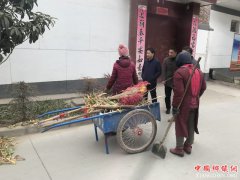 陕西华州区杏林镇开展春节前  环境卫生大整治行动
