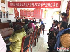 陕西：柳枝镇产业扶贫分红正在进行