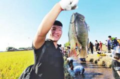 <b>内蒙古兴安盟打造“优质稻米之乡”新名片</b>