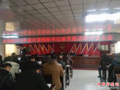 安徽省龙扬镇召开2018年度村党组织书记抓党建述职评议会议