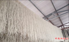 <b>瞄准10亿元产值 宜宾高县欲做强“粉丝经济”</b>