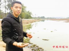 <b>潼南小伙黎龙带着“喝泉水”的虾蟹闯市场</b>