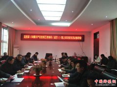 安徽省龙扬镇：积极开展《中国共产党支部工作条例（试行）》网上答题活动